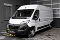 Opel Movano C 2.2 Diesel 140 (3,5t) L3H2 Edition Pickerl NEU Weiß - thumbnail 1
