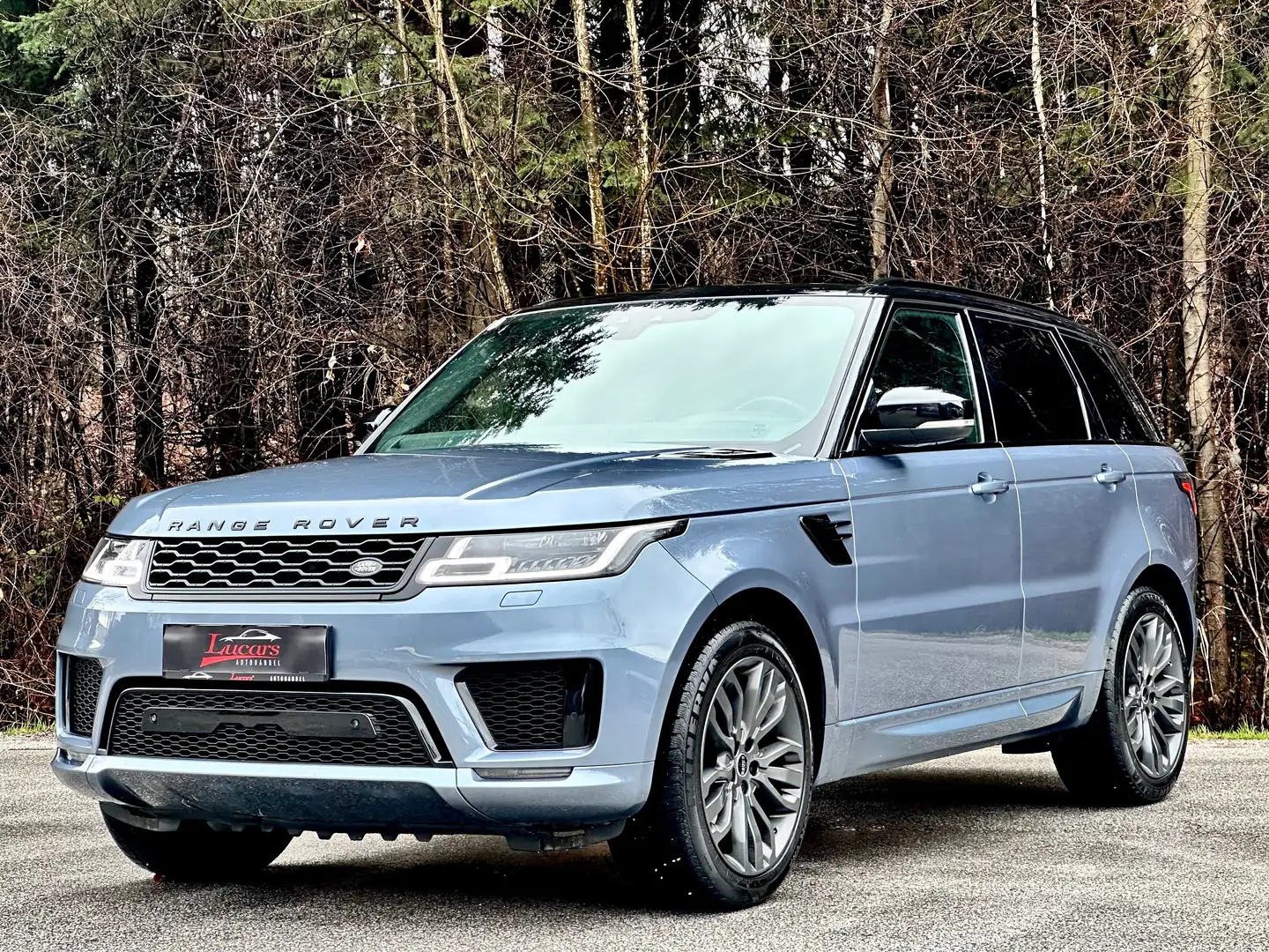 Land Rover Range Rover Sport HSE 3,0 Dynamik Aut.*LUFT*21*RFK*LUFT*MERIDIAN*TOP Blau - 1