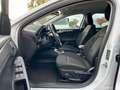 Ford Focus Turnier 1,5 EcoBlue"Titanium X"Netto 7700€ Weiß - thumbnail 12