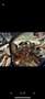 Porsche Cayenne II 3,0 Diesel Aut. - thumbnail 7