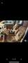 Porsche Cayenne II 3,0 Diesel Aut. - thumbnail 6