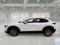 Mazda CX-30 2.0L Skyactiv-G 150cv M Hybrid Executive Auto - thumbnail 5