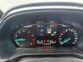 Ford Fiesta 1.0 Ecoboost Titanium Automatik Rot - thumbnail 10