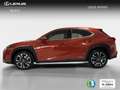 Lexus UX 250h Premium 4WD Naranja - thumbnail 2