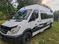 Mercedes-Benz Sprinter Sprinter Ch.Cb. 313CDI Largo Rebajado - thumbnail 1