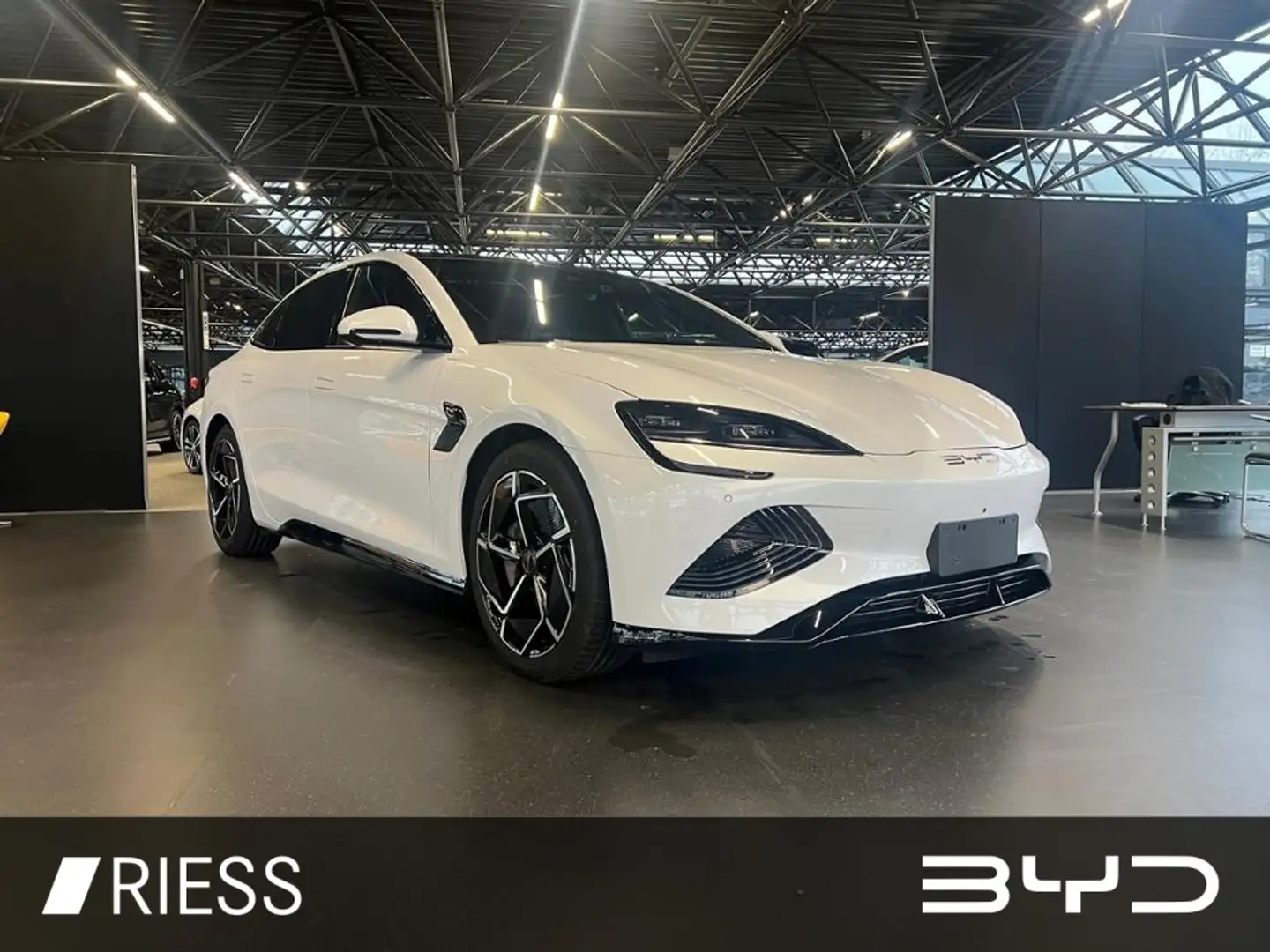 BYD Seal Excellence AWD Nur für Gewerbetreibende Blanc - 2