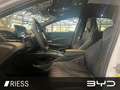 BYD Seal Excellence AWD Nur für Gewerbetreibende Bílá - thumbnail 9