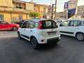 Fiat Panda Panda III 2021 1.0 firefly hybrid City Life s Bianco - thumbnail 3