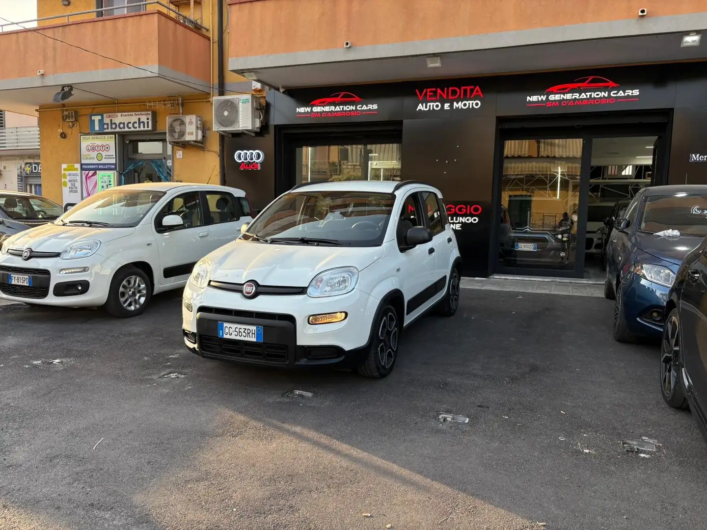 Fiat Panda Panda III 2021 1.0 firefly hybrid City Life s Bianco - 2