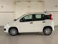 Fiat Panda 1.0 firefly hybrid 5 Posti Radio Bluetooth Wit - thumbnail 12