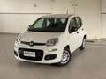 Fiat Panda 1.0 firefly hybrid 5 Posti Radio Bluetooth Wit - thumbnail 1
