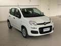 Fiat Panda 1.0 firefly hybrid 5 Posti Radio Bluetooth Wit - thumbnail 10