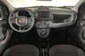 Fiat Panda 1.0 firefly hybrid 5 Posti Radio Bluetooth Wit - thumbnail 4
