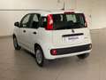 Fiat Panda 1.0 firefly hybrid 5 Posti Radio Bluetooth Wit - thumbnail 11