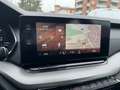 Skoda Octavia Wagon 2.0 tdi Executive 115cv TAGLIANDI UFFICIALI! Argento - thumbnail 11