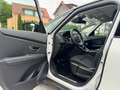 Renault Scenic Limited Navi Rkam Unfallfrei 20 Zoll 2.Hand TOP Weiß - thumbnail 24