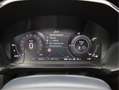 Ford Kuga 2.5 PHEV ST-Line X B&O, Winter & Driver, design pa Grijs - thumbnail 19