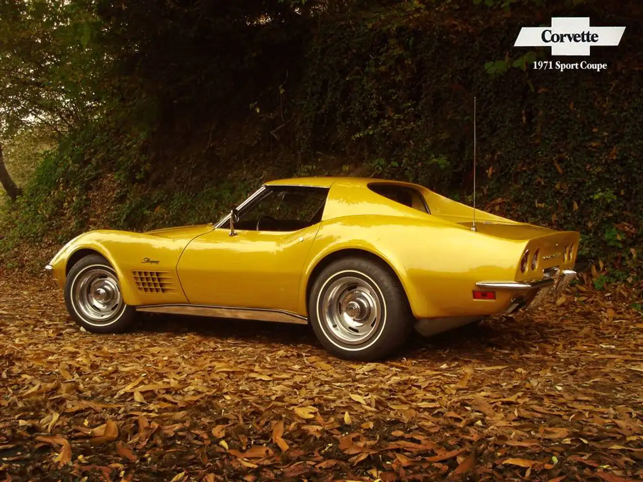 Chevrolet Corvette 1971 C3 Sport Coupè Stingray 5700 cc, foto 1