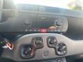 Fiat Panda 1.0 firefly hybrid City Life s&s 70cv Gris - thumbnail 12