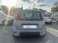 Fiat Panda 1.0 firefly hybrid City Life s&s 70cv Gris - thumbnail 6