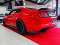 Ford Mustang Fastback -1. Hand -Unfallfrei Rot - thumbnail 5