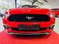 Ford Mustang Fastback -1. Hand -Unfallfrei Rot - thumbnail 14