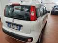 Fiat Panda 1.2  Gpl della casa Bronzo - thumbnail 4