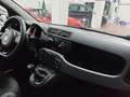 Fiat Panda 1.2  Gpl della casa Bronzo - thumbnail 6