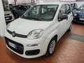 Fiat Panda 1.2  Gpl della casa Bronzo - thumbnail 1