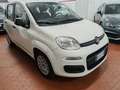 Fiat Panda 1.2  Gpl della casa Bronzo - thumbnail 3