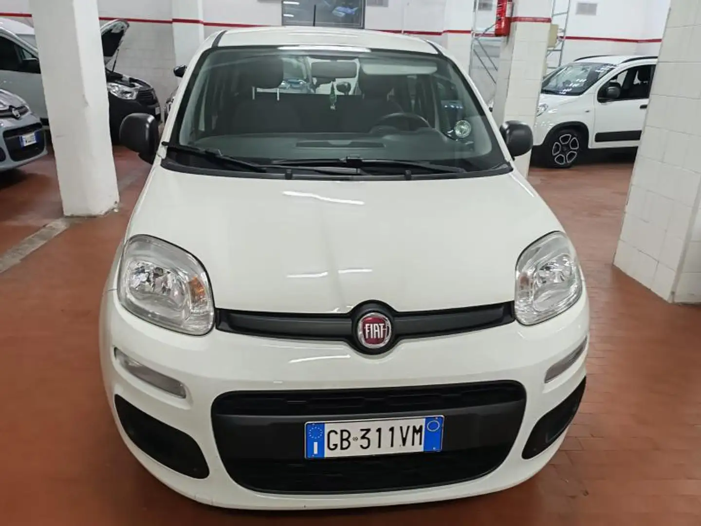 Fiat Panda 1.2  Gpl della casa Bronzo - 2