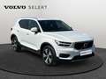 Volvo XC40 T3 Momentum / Essence Blanc - thumbnail 8