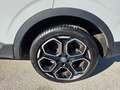 Renault Kadjar Kadjar 1.5 BlueDdci Sport Edition2 115cv my19 Bianco - thumbnail 5
