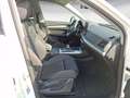 Audi Q5 40TDI quattro S tronic advanced Bus Weiß - thumbnail 9
