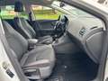 SEAT Leon ST FR*NAVI*ABSTANDSTEMP*LED*SHZ*PDC*T-LEDER Weiß - thumbnail 15