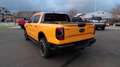 Ford Ranger Wildtrak-X Rollo / X-Paket / AHK / B & O Orange - thumbnail 9