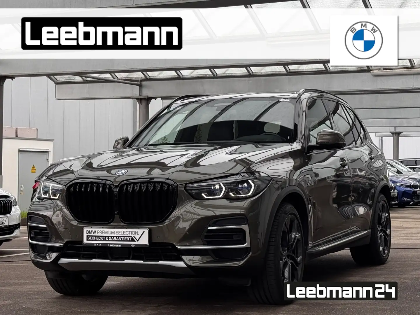 BMW X5 xDrive45e xLine AHK/Massage/IntAL 2.J.GARANTIE Vert - 1