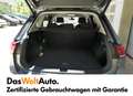 Volkswagen Tiguan Allspace CL TDI 4MOTION DSG Grau - thumbnail 4