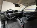 Ford Focus SW 1.5 ecoblue Business Co-pilot s&s 120 CV Auto Argento - thumbnail 5