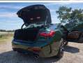 BMW 420 420d 48 V Coupe xDrive Aut. Grün - thumbnail 13