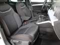 SEAT Arona FR 1.0 TSI Bianco - thumbnail 12
