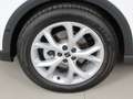 SEAT Arona FR 1.0 TSI Bianco - thumbnail 8