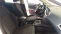 Kia Ceed / cee'd 1.6 MHEV iMT Drive 136 Blanc - thumbnail 14