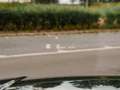 Land Rover Range Rover Range Rover P440e Hybrid HSE - Pano - Meridian - Blau - thumbnail 29