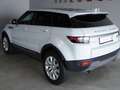 Land Rover Range Rover Evoque Si4 -BRD-FZG-Sky View-240 PS -2018- Wit - thumbnail 2