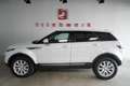 Land Rover Range Rover Evoque Si4 -BRD-FZG-Sky View-240 PS -2018- Wit - thumbnail 13