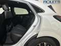 Ford Puma (2019) 1.0 ECOBOOST HYBRID 155 CV S&S AUT. ST-LIN Bianco - thumbnail 12