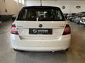Skoda Fabia 2017Berlina 1.4 tdi Ambition 75cv Neopatentati Bianco - thumbnail 6