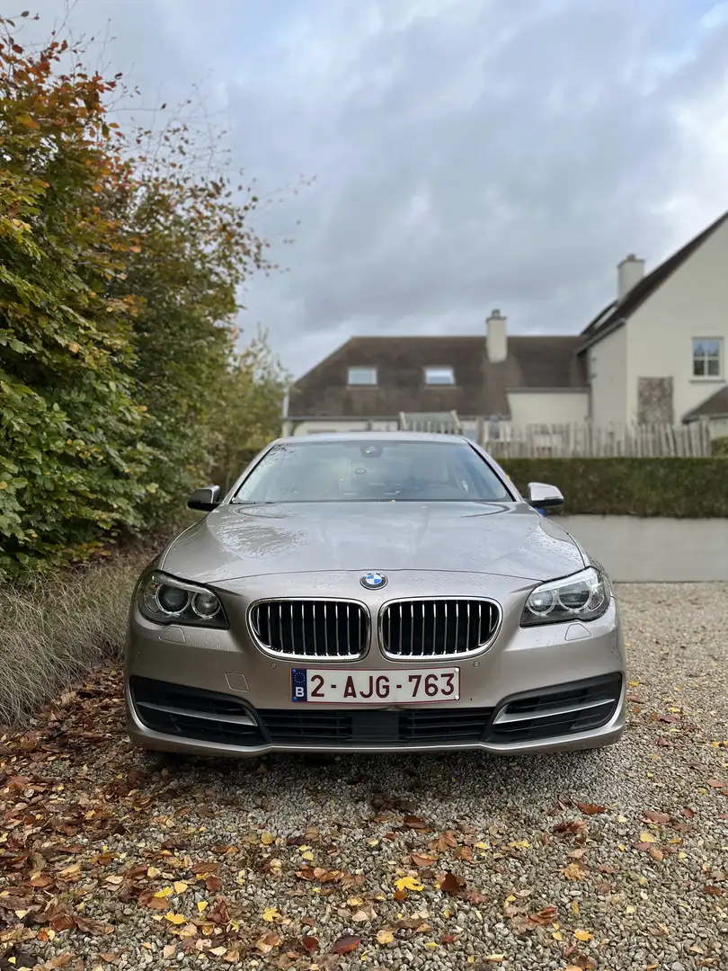 BMW 518 518d Aut. Luxury Line - 2