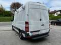Mercedes-Benz Sprinter 210/211/213/214/216 CDI (906.611/613) Weiß - thumbnail 7